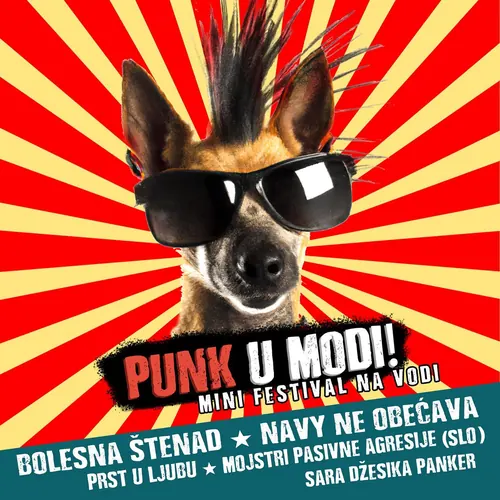 Plakat: Punk u modi, mini festival na vodi